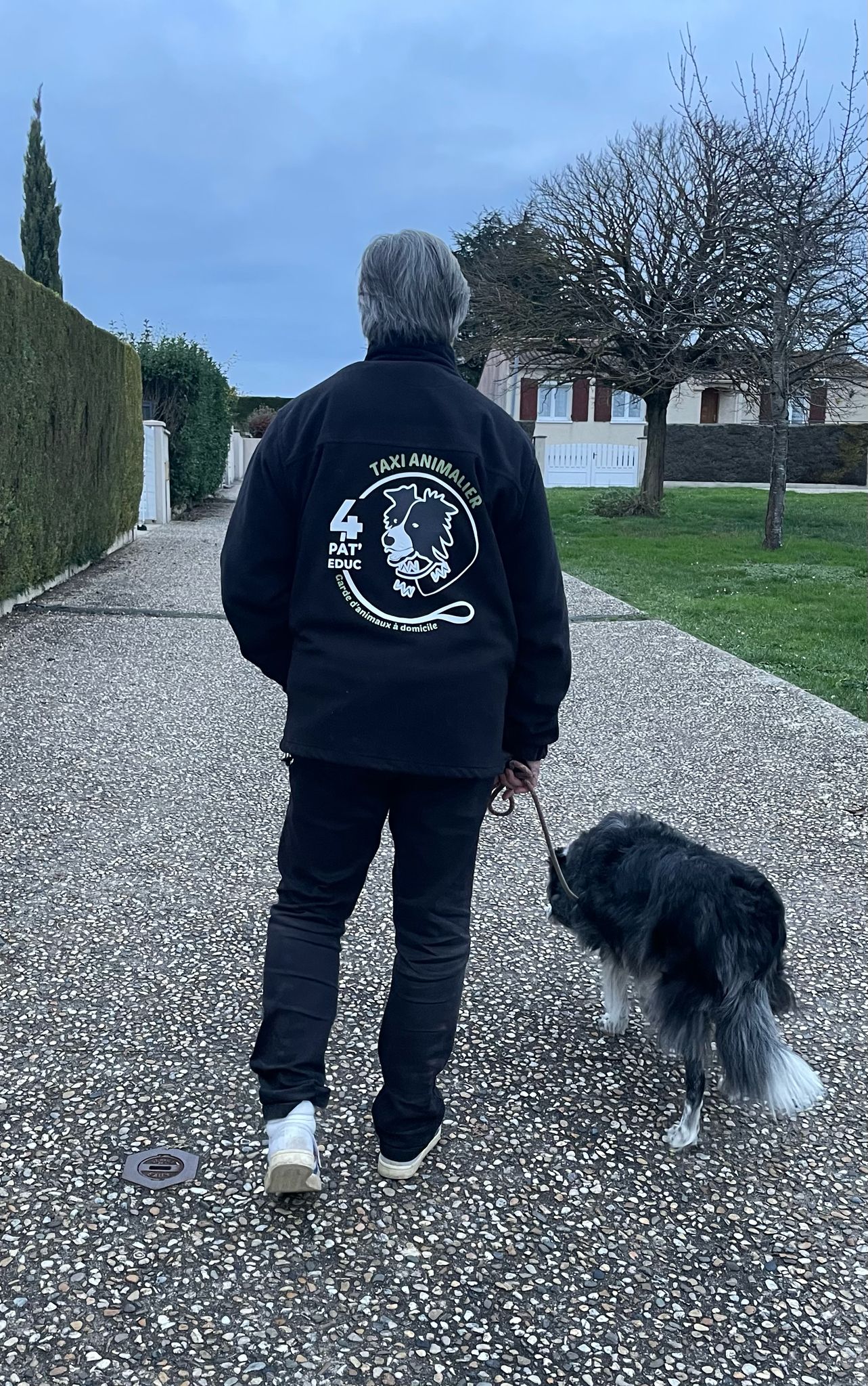 Service de balade pour chiens