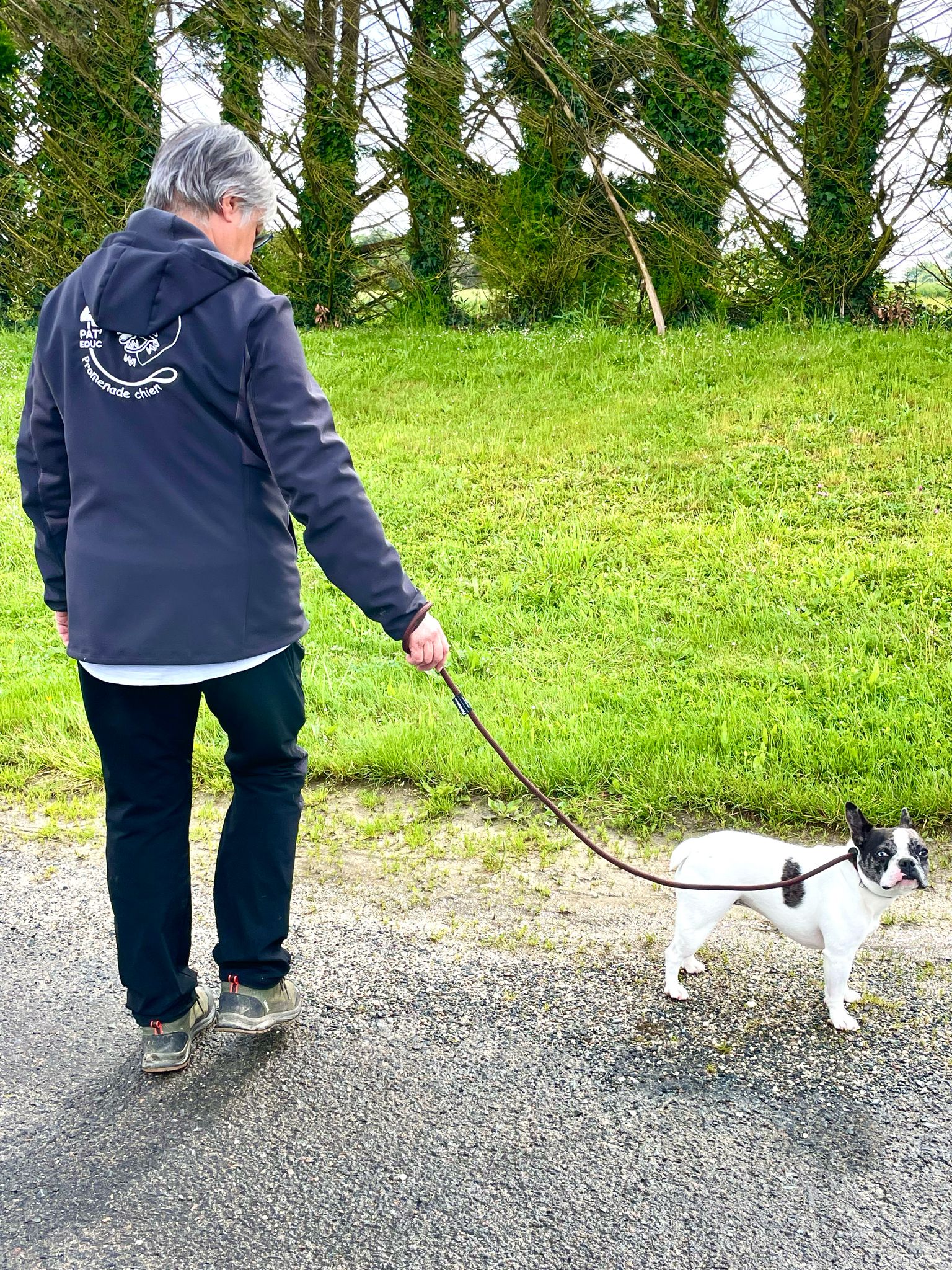 Service de balade pour chiens