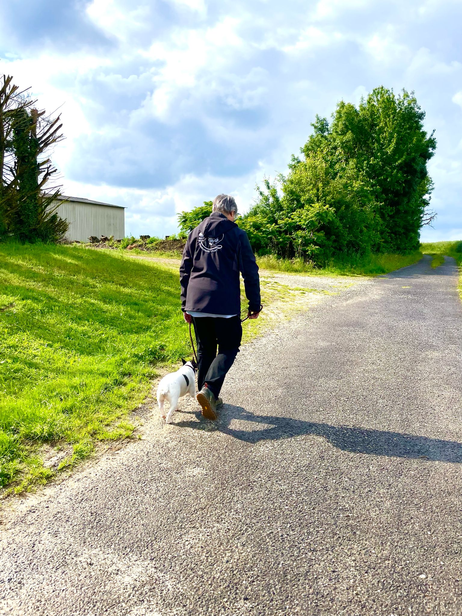 Service de balade pour chiens